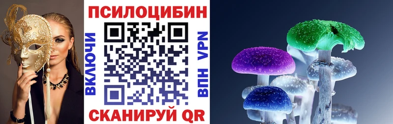 закладка  Новотитаровская  Галлюциногенные грибы прущие грибы 